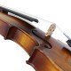 Astonvilla AV-506 4/4 Spruce Solid Wood Vintage Violin with Case&Accessories