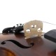 Astonvilla AV-506 4/4 Spruce Solid Wood Vintage Violin with Case&Accessories